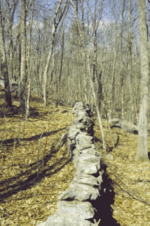 A New England stone wall A New England stone wall