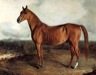 American Eclipse, an American racehorse who lived from 1814 to 1847 American Eclipse, an American racehorse who lived from 1814 to 1847