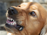 Threatened and fearful Threatened and fearful