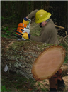 A man using a chainsaw