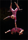 Acrobatics requires trust Acrobatics requires trust