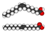 The molecular structure of Oleic Acid (a cis fat, top), and Elaidic Acid (a trans fat, bottom) The molecular structure of Oleic Acid (a cis fat, top), and Elaidic Acid (a trans fat, bottom)