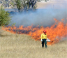 Firefighter lighting grass using a drip torch Firefighter lighting grass using a drip torch