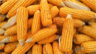 Corn Corn