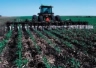 A harrow in action A harrow in action