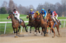 A horserace, which is a useful metaphor for the abuser's view of a conversation A horserace, which is a useful metaphor for the abuser's view of a conversation