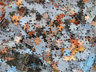 A jumbled jigsaw puzzle A jumbled jigsaw puzzle