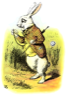The rabbit that went down the rabbit hole The rabbit that went down the rabbit hole
