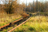 An abandoned railway An abandoned railway