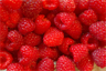 Red raspberries Red raspberries