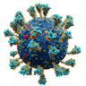 A scientifically accurate atomic model of the external structure of the SARS-CoV-2 A scientifically accurate atomic model of the external structure of the SARS-CoV-2