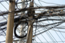 A well-festooned utility pole A well-festooned utility pole