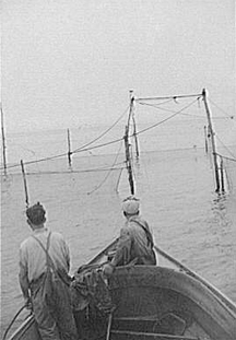 A 1940s-era trap fishing boat A 1940s-era trap fishing boat