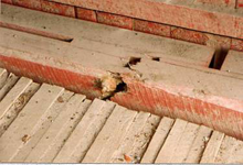 A tensile failure of a bottom chord in a covered bridge