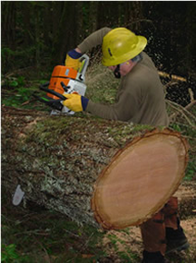 A man using a chainsaw