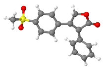 Rofecoxib, the active ingredient of Vioxx