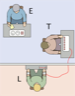 A schematic representation of the Milgram Experiment